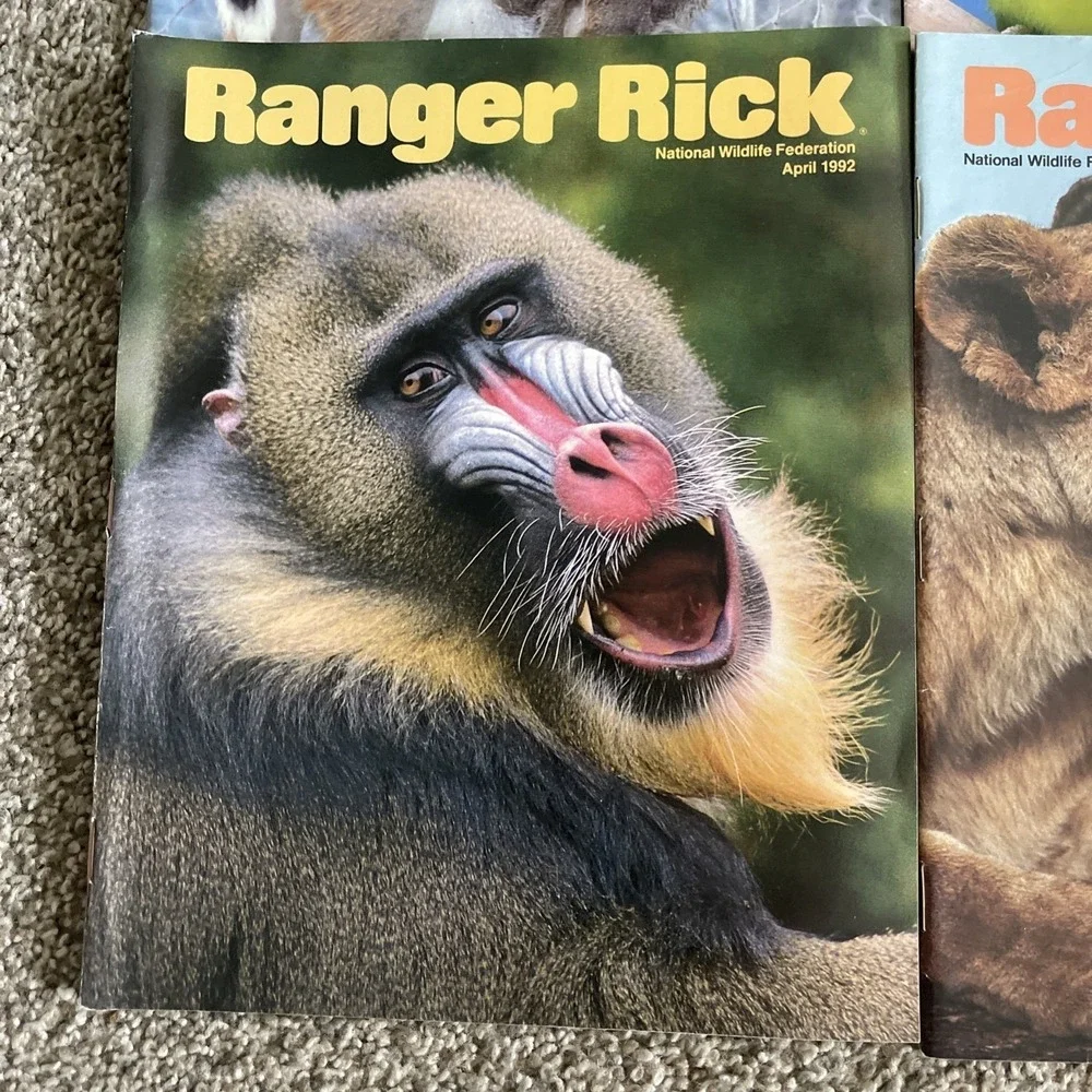 Ranger Rick's Nature Magazine 1992 National Wildlife Kids Vtg Lot Of‎ 9